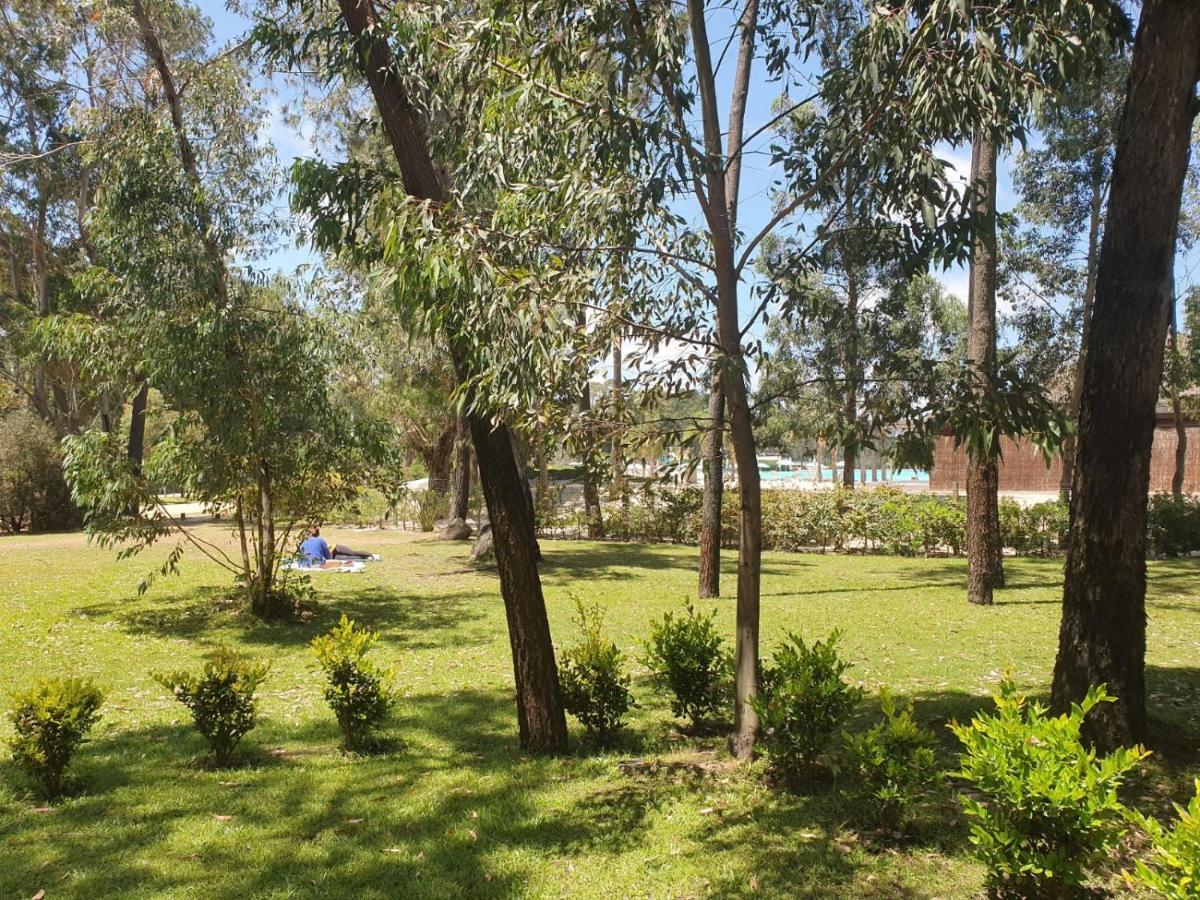 Punta Del Este, Forest Lagoon, Luxury Экстерьер фото